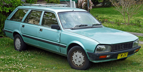 Download Peugeot 505 repair manual