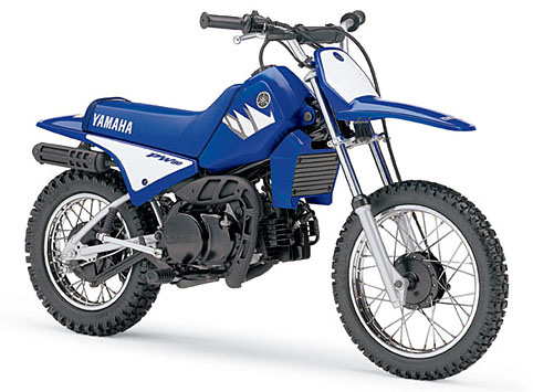 Download Yamaha Pw80 repair manual