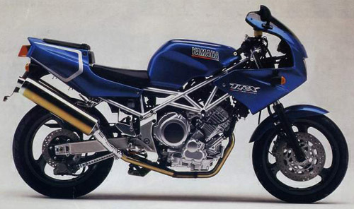 Download Yamaha Trx850 repair manual